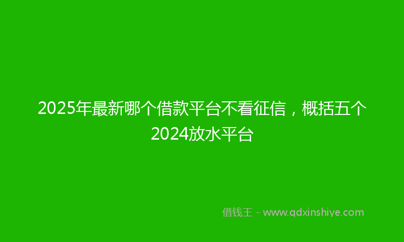 2025年最新哪个借款平台不看征信，概括五个2024放水平台