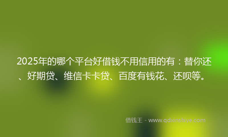 2025年的哪个平台好借钱不用信用的有：替你还、好期贷、维信卡卡贷、百度有钱花、还呗等。