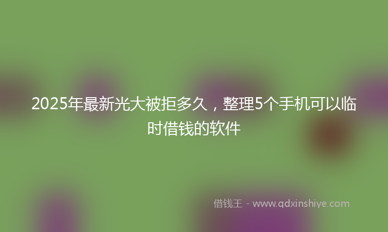 2025年最新光大被拒多久，整理5个手机可以临时借钱的软件