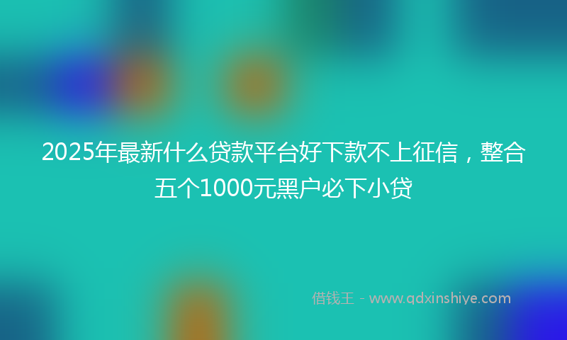 2025年最新什么贷款平台好下款不上征信，整合五个1000元黑户必下小贷