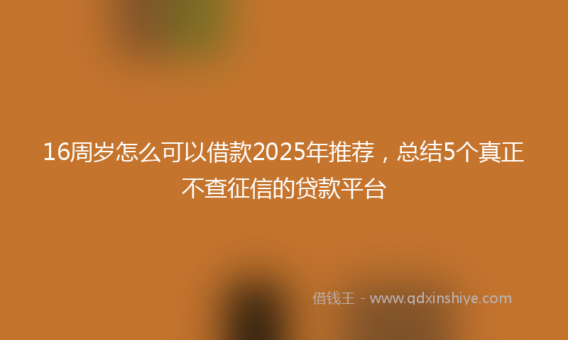 16周岁怎么可以借款2025年推荐，总结5个真正不查征信的贷款平台