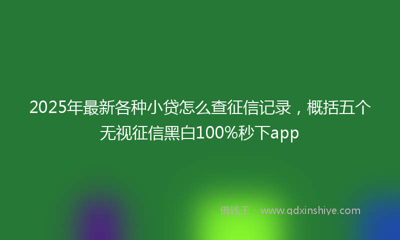 2025年最新各种小贷怎么查征信记录，概括五个无视征信黑白100%秒下app