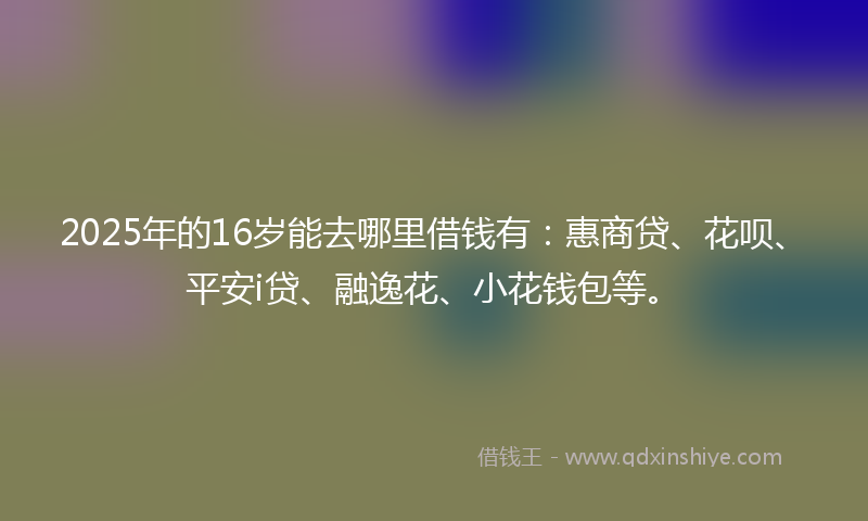 2025年的16岁能去哪里借钱有：惠商贷、花呗、平安i贷、融逸花、小花钱包等。