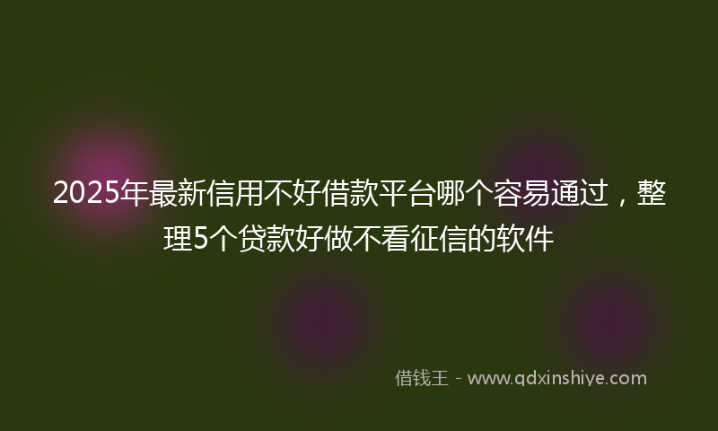2025年最新信用不好借款平台哪个容易通过，整理5个贷款好做不看征信的软件