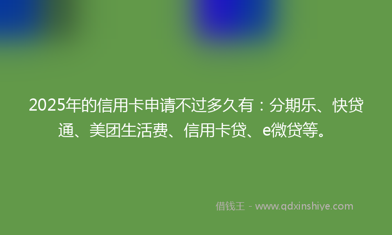 2025年的信用卡申请不过多久有：分期乐、快贷通、美团生活费、信用卡贷、e微贷等。