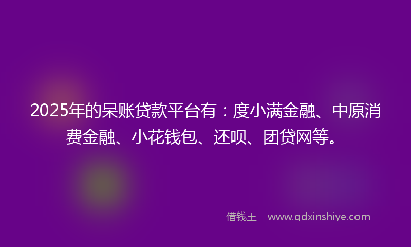 2025年的呆账贷款平台有：度小满金融、中原消费金融、小花钱包、还呗、团贷网等。