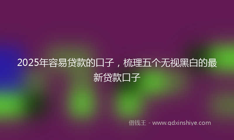 2025年容易贷款的口子，梳理五个无视黑白的最新贷款口子