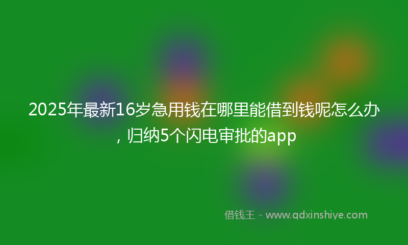 2025年最新16岁急用钱在哪里能借到钱呢怎么办，归纳5个闪电审批的app