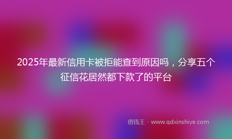 2025年最新信用卡被拒能查到原因吗，分享五个征信花居然都下款了的平台