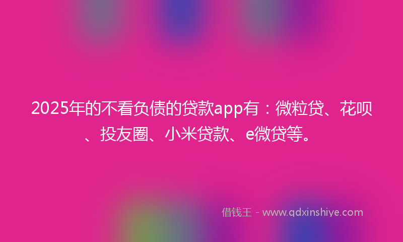 2025年的不看负债的贷款app有：微粒贷、花呗、投友圈、小米贷款、e微贷等。