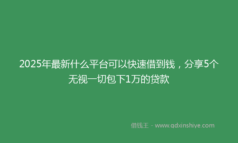 2025年最新什么平台可以快速借到钱，分享5个无视一切包下1万的贷款