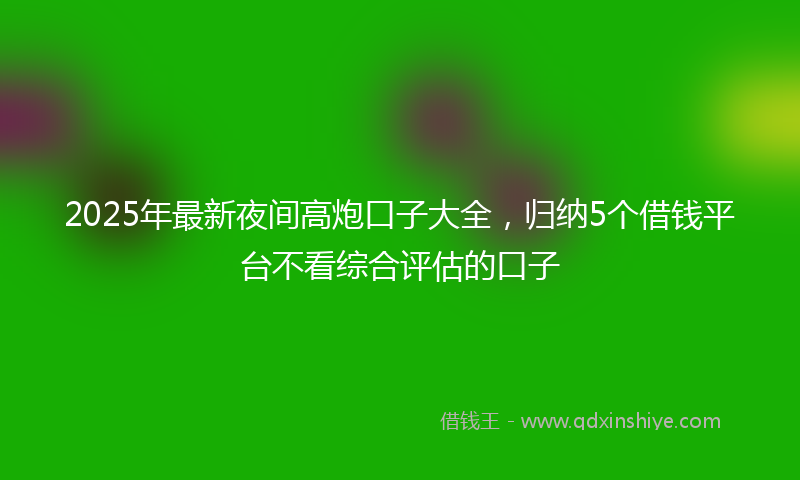 2025年最新夜间高炮口子大全，归纳5个借钱平台不看综合评估的口子