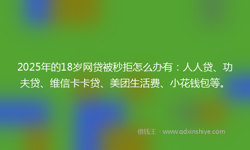 2025年的18岁网贷被秒拒怎么办有：人人贷、功夫贷、维信卡卡贷、美团生活费、小花钱包等。