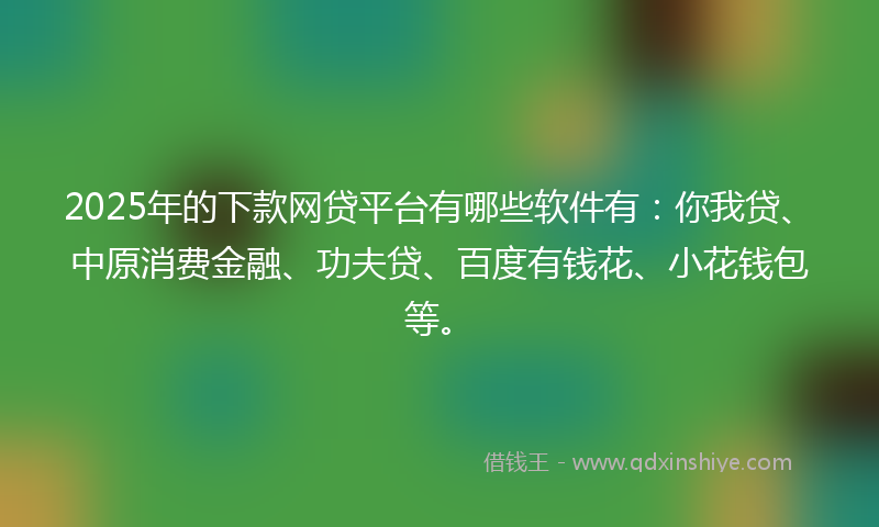 2025年的下款网贷平台有哪些软件有：你我贷、中原消费金融、功夫贷、百度有钱花、小花钱包等。