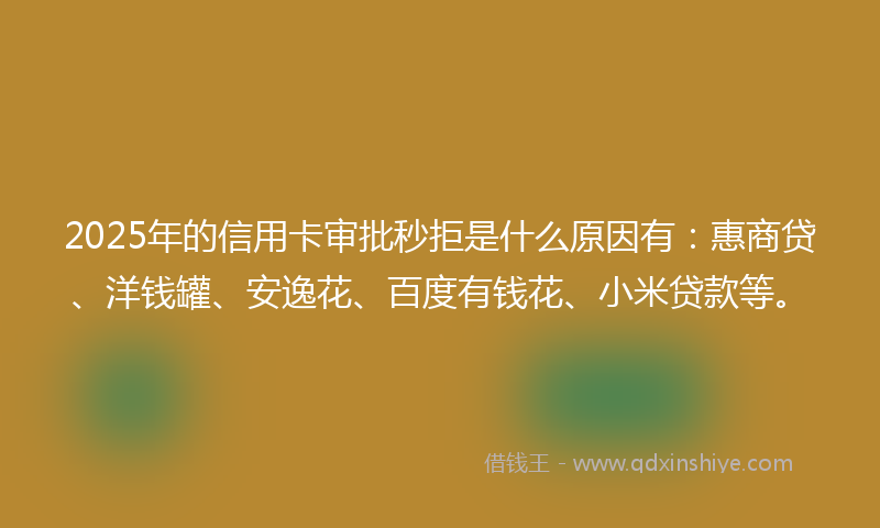 2025年的信用卡审批秒拒是什么原因有：惠商贷、洋钱罐、安逸花、百度有钱花、小米贷款等。
