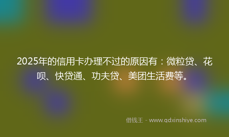 2025年的信用卡办理不过的原因有：微粒贷、花呗、快贷通、功夫贷、美团生活费等。