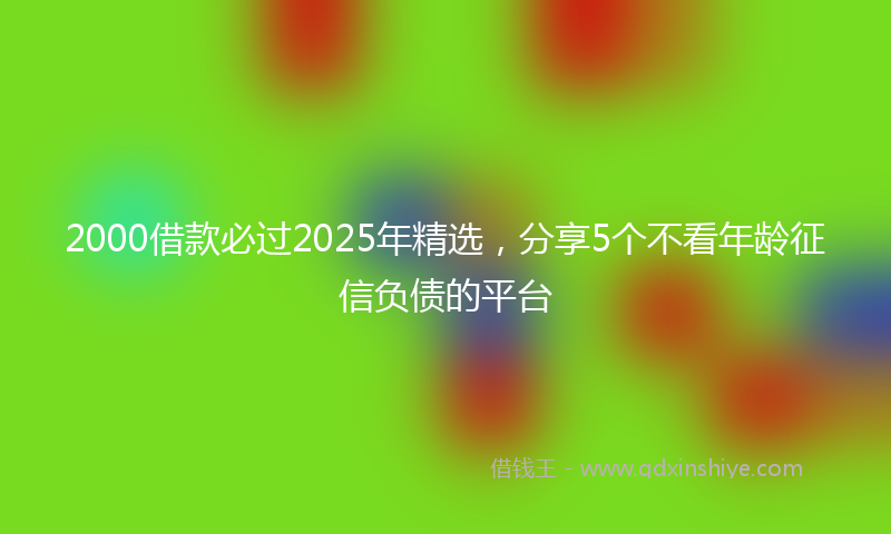 2000借款必过2025年精选，分享5个不看年龄征信负债的平台