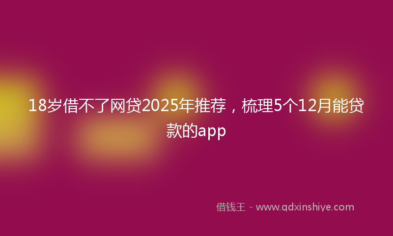 18岁借不了网贷2025年推荐，梳理5个12月能贷款的app