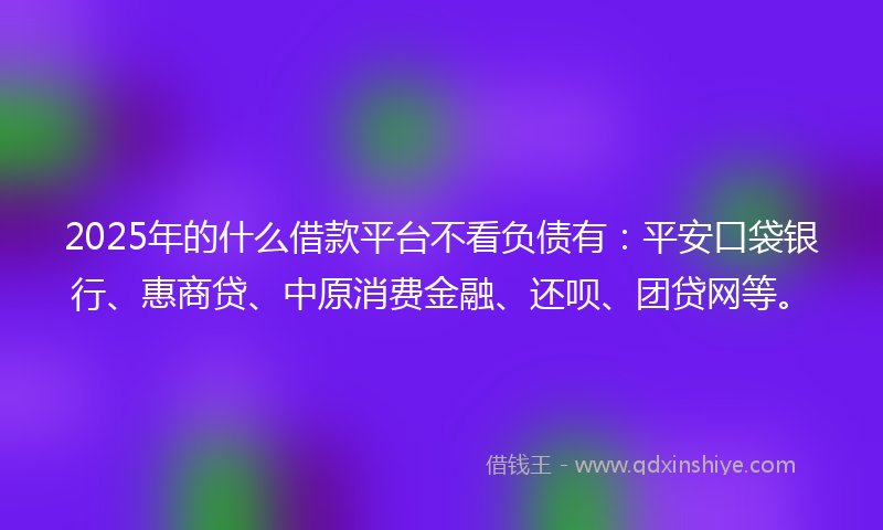 2025年的什么借款平台不看负债有：平安口袋银行、惠商贷、中原消费金融、还呗、团贷网等。