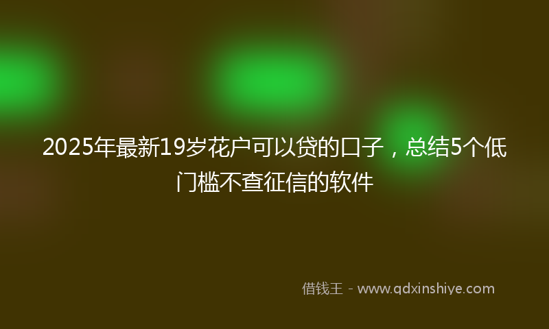 2025年最新19岁花户可以贷的口子，总结5个低门槛不查征信的软件