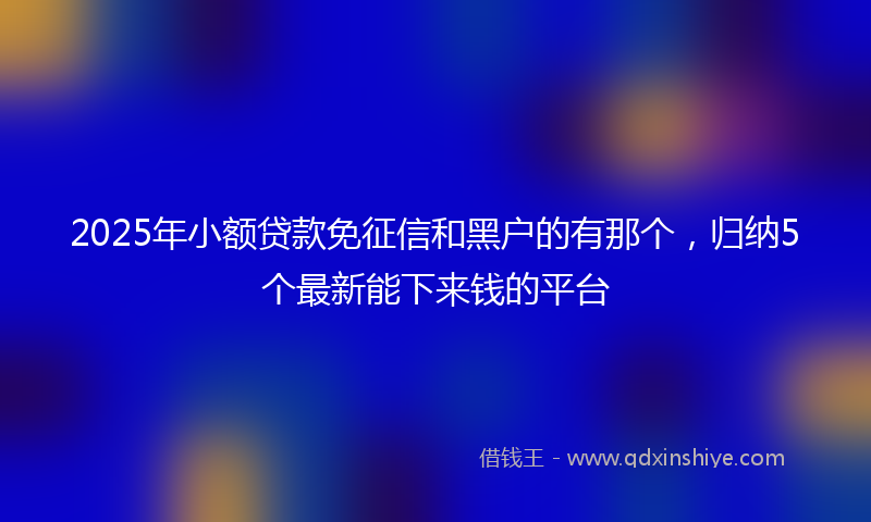 2025年小额贷款免征信和黑户的有那个，归纳5个最新能下来钱的平台