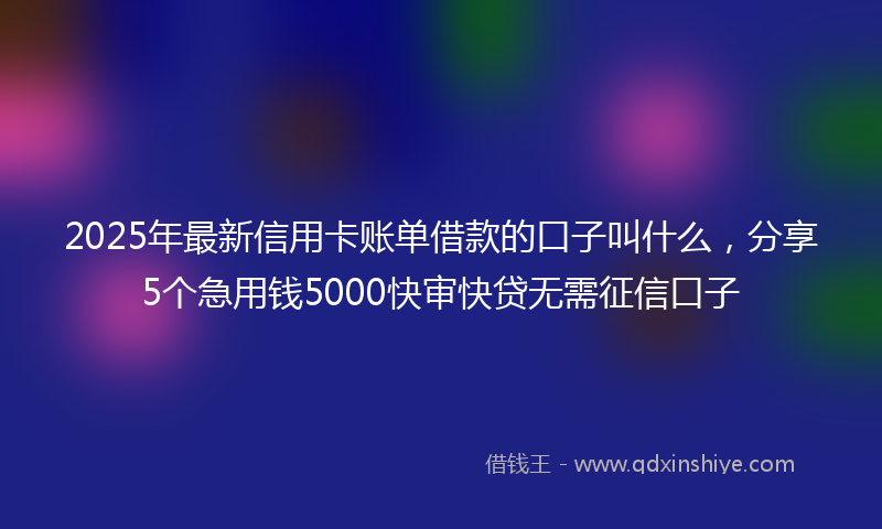2025年最新信用卡账单借款的口子叫什么，分享5个急用钱5000快审快贷无需征信口子