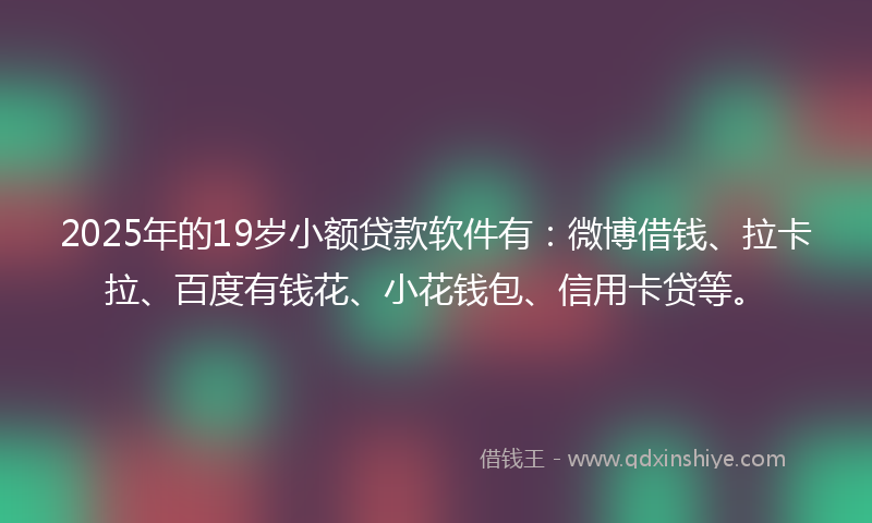 2025年的19岁小额贷款软件有：微博借钱、拉卡拉、百度有钱花、小花钱包、信用卡贷等。