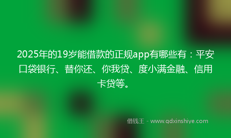 2025年的19岁能借款的正规app有哪些有：平安口袋银行、替你还、你我贷、度小满金融、信用卡贷等。