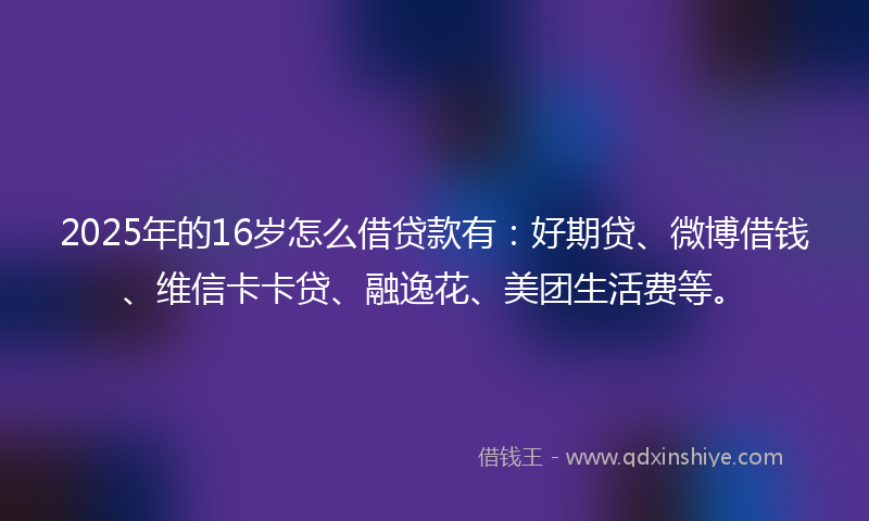 2025年的16岁怎么借贷款有：好期贷、微博借钱、维信卡卡贷、融逸花、美团生活费等。