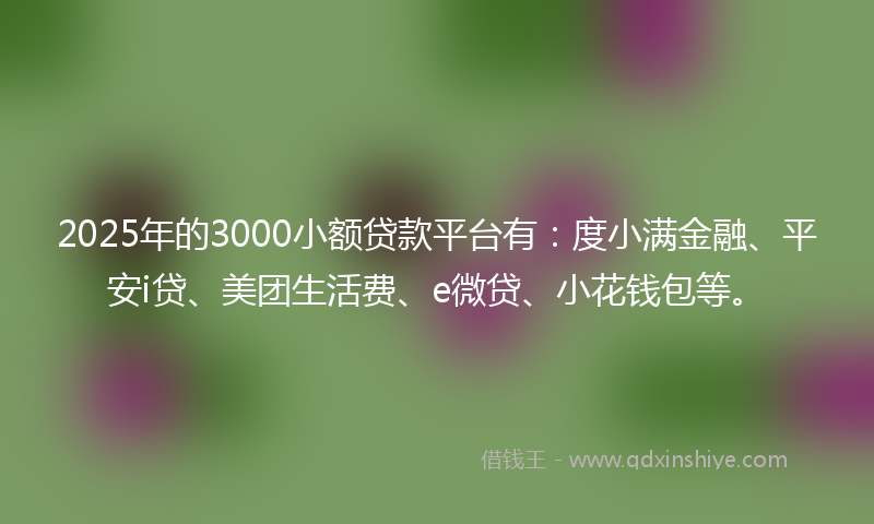 2025年的3000小额贷款平台有：度小满金融、平安i贷、美团生活费、e微贷、小花钱包等。