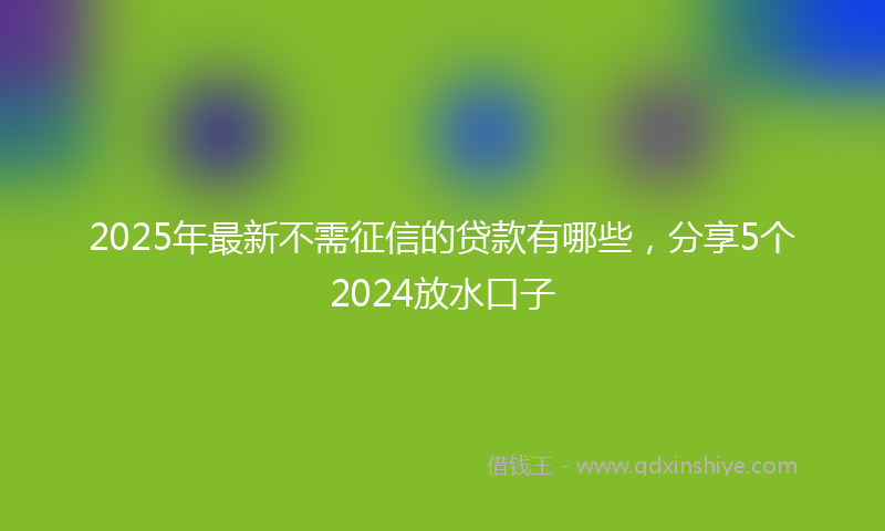2025年最新不需征信的贷款有哪些，分享5个2024放水口子