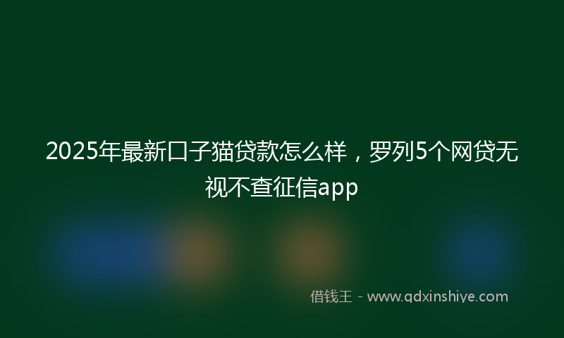 2025年最新口子猫贷款怎么样，罗列5个网贷无视不查征信app