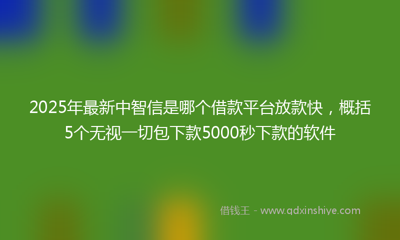 2025年最新中智信是哪个借款平台放款快，概括5个无视一切包下款5000秒下款的软件
