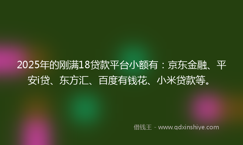 2025年的刚满18贷款平台小额有：京东金融、平安i贷、东方汇、百度有钱花、小米贷款等。