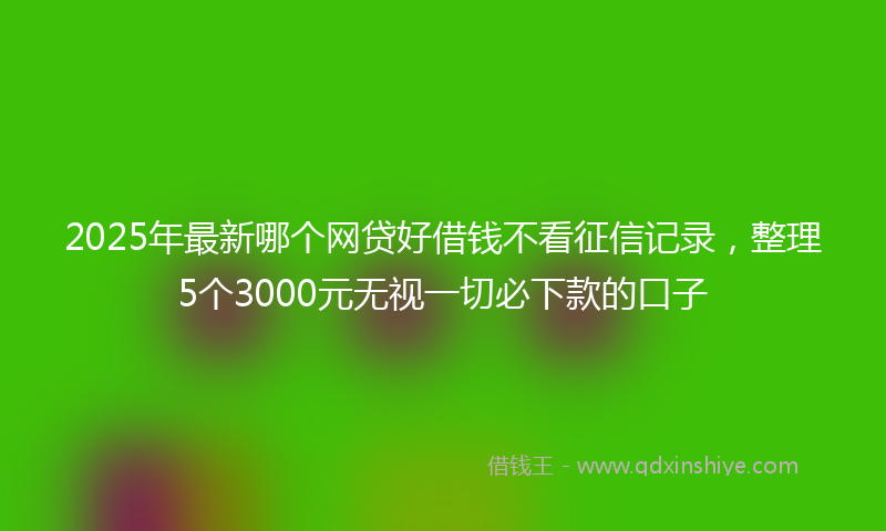 2025年最新哪个网贷好借钱不看征信记录，整理5个3000元无视一切必下款的口子