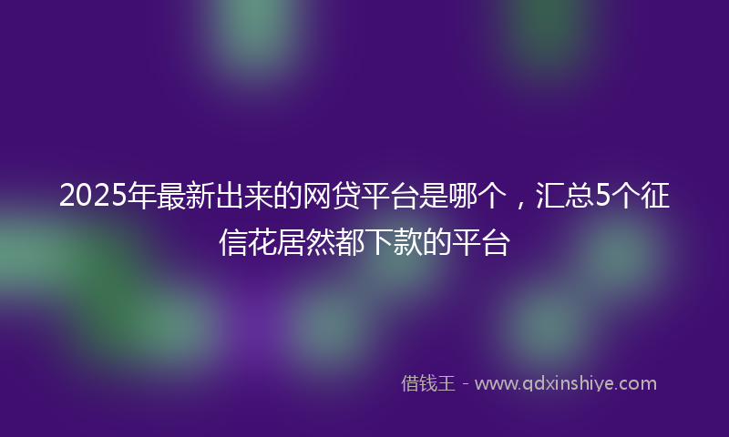 2025年最新出来的网贷平台是哪个，汇总5个征信花居然都下款的平台