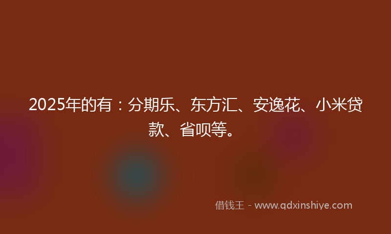 2025年的有：分期乐、东方汇、安逸花、小米贷款、省呗等。