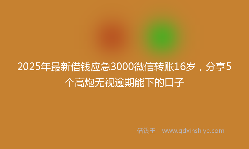 2025年最新借钱应急3000微信转账16岁，分享5个高炮无视逾期能下的口子
