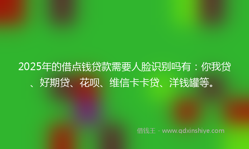 2025年的借点钱贷款需要人脸识别吗有：你我贷、好期贷、花呗、维信卡卡贷、洋钱罐等。