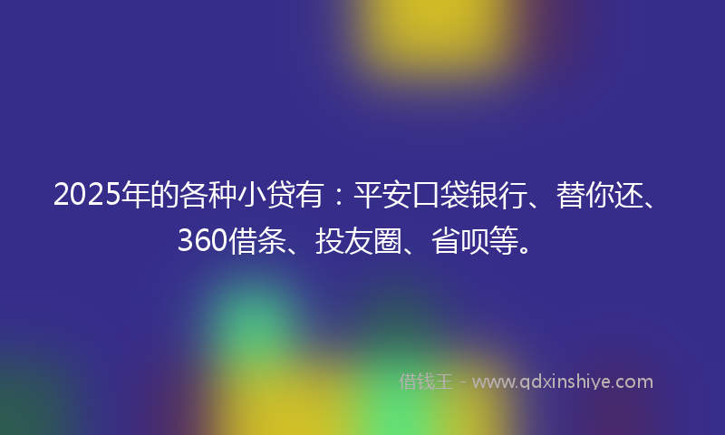 2025年的各种小贷有：平安口袋银行、替你还、360借条、投友圈、省呗等。