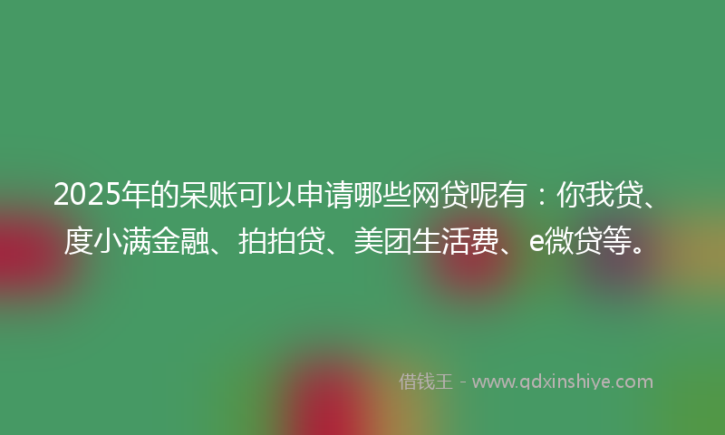 2025年的呆账可以申请哪些网贷呢有：你我贷、度小满金融、拍拍贷、美团生活费、e微贷等。