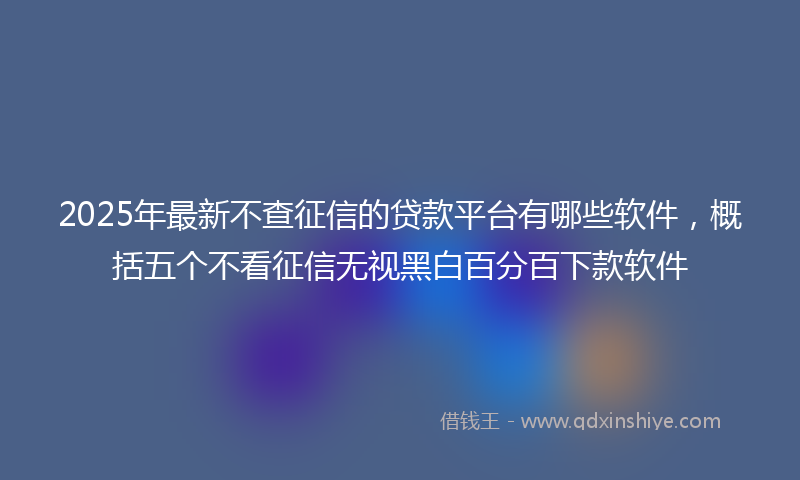 2025年最新不查征信的贷款平台有哪些软件，概括五个不看征信无视黑白百分百下款软件