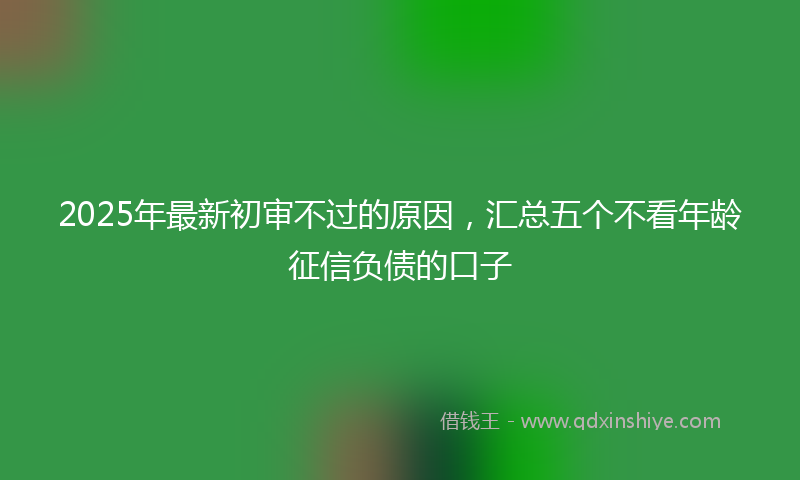 2025年最新初审不过的原因，汇总五个不看年龄征信负债的口子