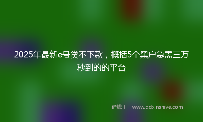 2025年最新e号贷不下款，概括5个黑户急需三万秒到的的平台