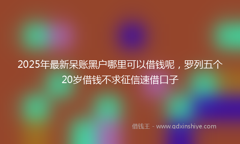2025年最新呆账黑户哪里可以借钱呢，罗列五个20岁借钱不求征信速借口子