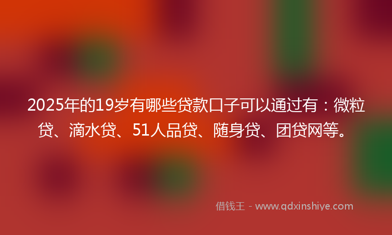 2025年的19岁有哪些贷款口子可以通过有：微粒贷、滴水贷、51人品贷、随身贷、团贷网等。