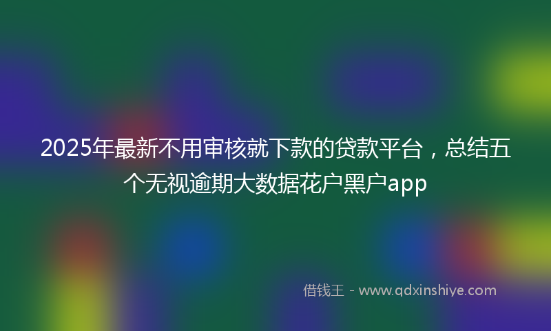 2025年最新不用审核就下款的贷款平台，总结五个无视逾期大数据花户黑户app