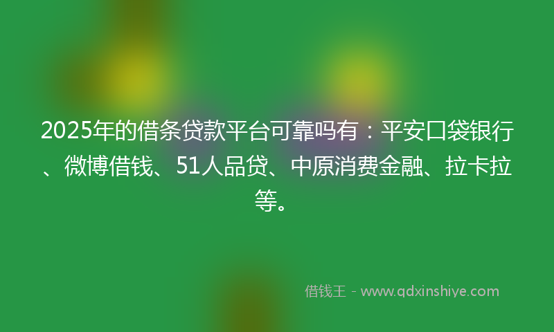 2025年的借条贷款平台可靠吗有：平安口袋银行、微博借钱、51人品贷、中原消费金融、拉卡拉等。