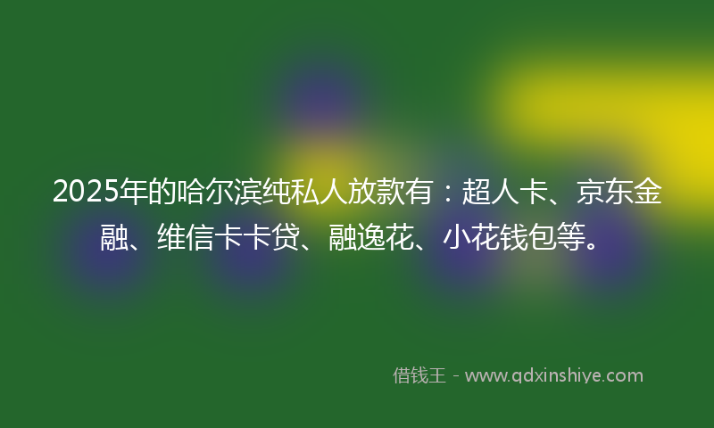 2025年的哈尔滨纯私人放款有：超人卡、京东金融、维信卡卡贷、融逸花、小花钱包等。