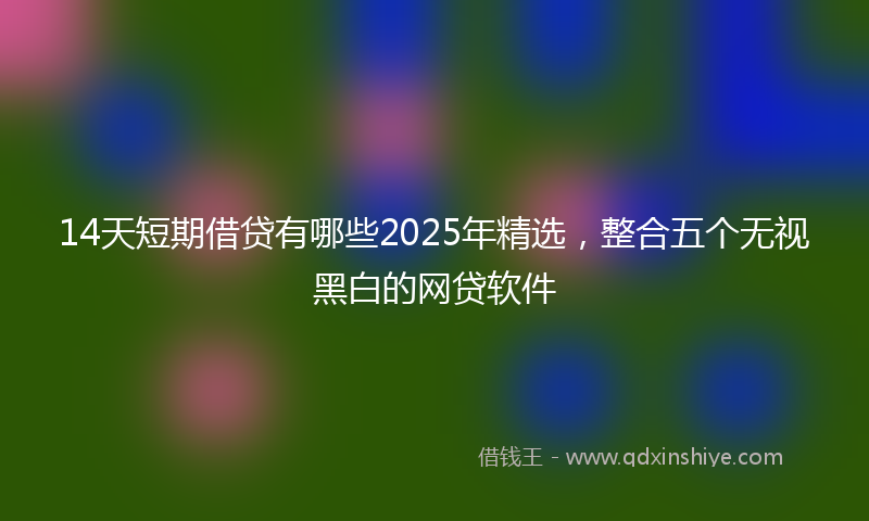 14天短期借贷有哪些2025年精选，整合五个无视黑白的网贷软件